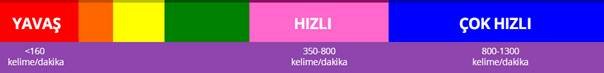 Alanya Hızlı Okuma İstatistikleri